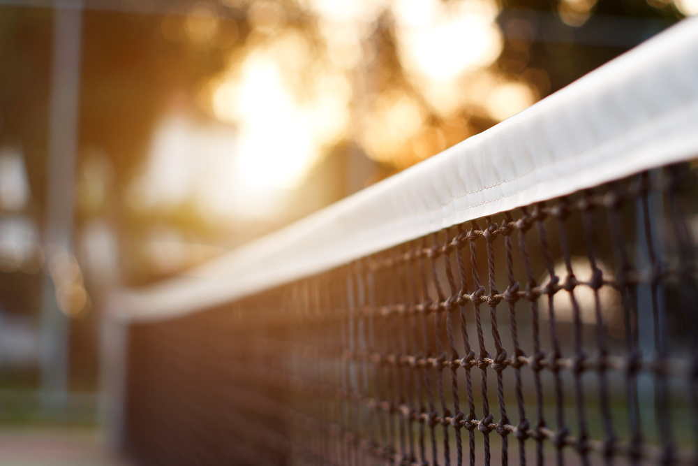 Bush Hill Park Club Social Tennis Ladder